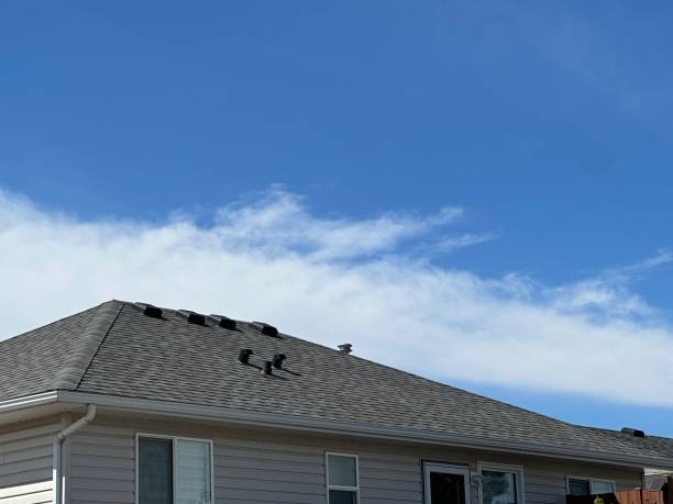 Best 4 Ply Roofing  in Glasgow, MT